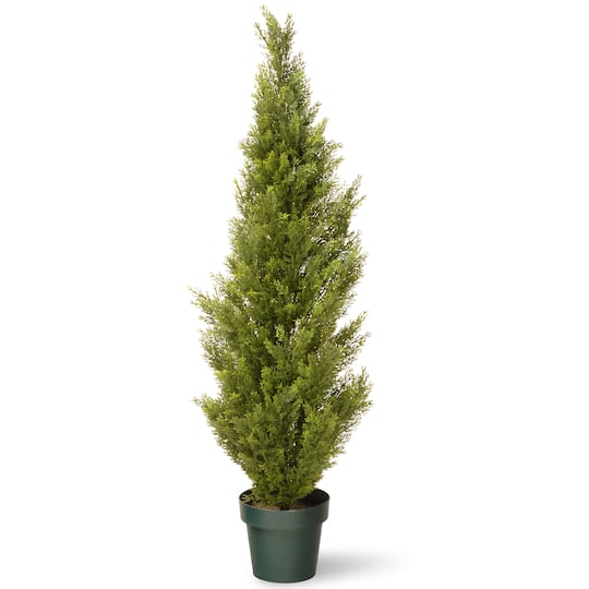 Arborvitae with Green Pot